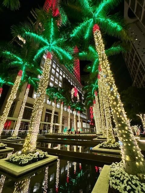 Palm trees decorated with colorful string lights in red, green, and gold surrounding an outdoor urban plaza at night